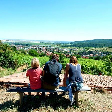 Villa Vinica Limbach Екстер'єр фото