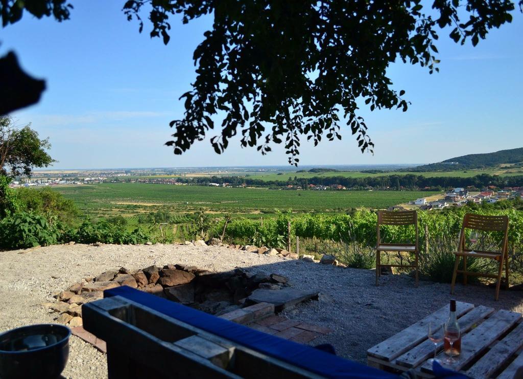 Villa Vinica Limbach Екстер'єр фото