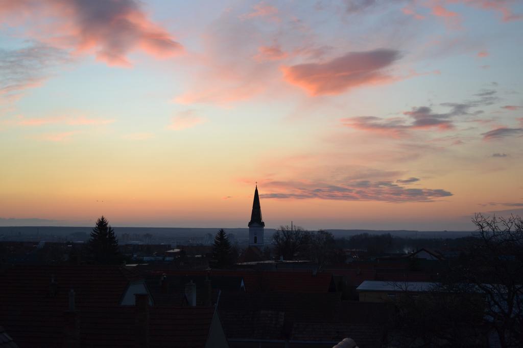 Villa Vinica Limbach Екстер'єр фото