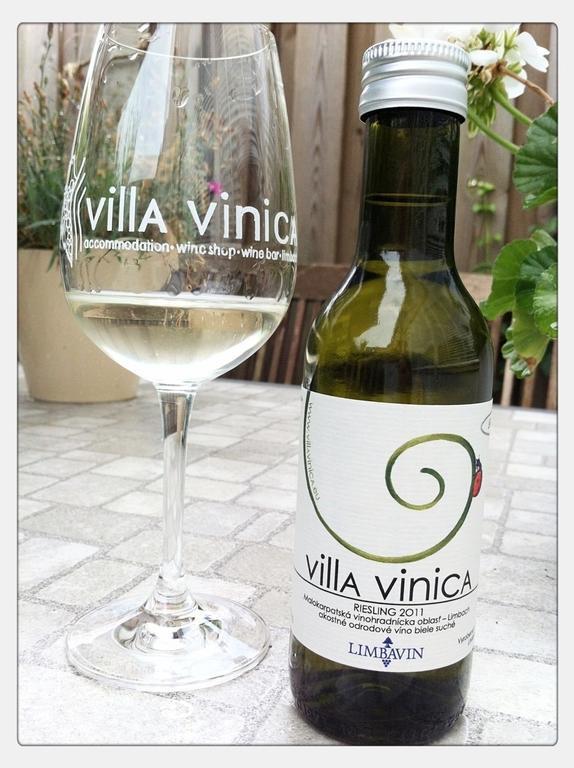 Villa Vinica Limbach Екстер'єр фото