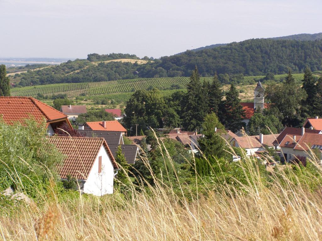 Villa Vinica Limbach Екстер'єр фото