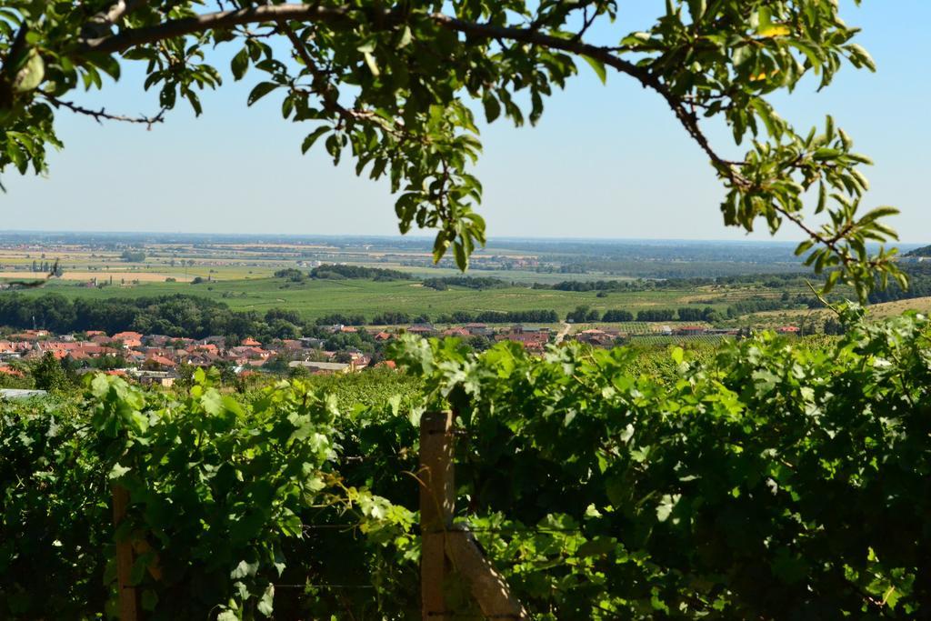 Villa Vinica Limbach Екстер'єр фото