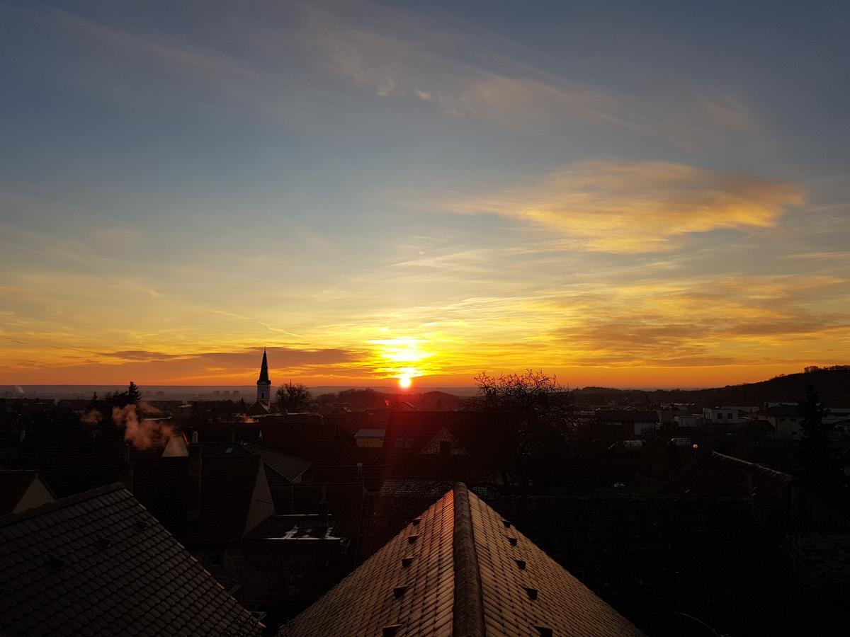 Villa Vinica Limbach Екстер'єр фото
