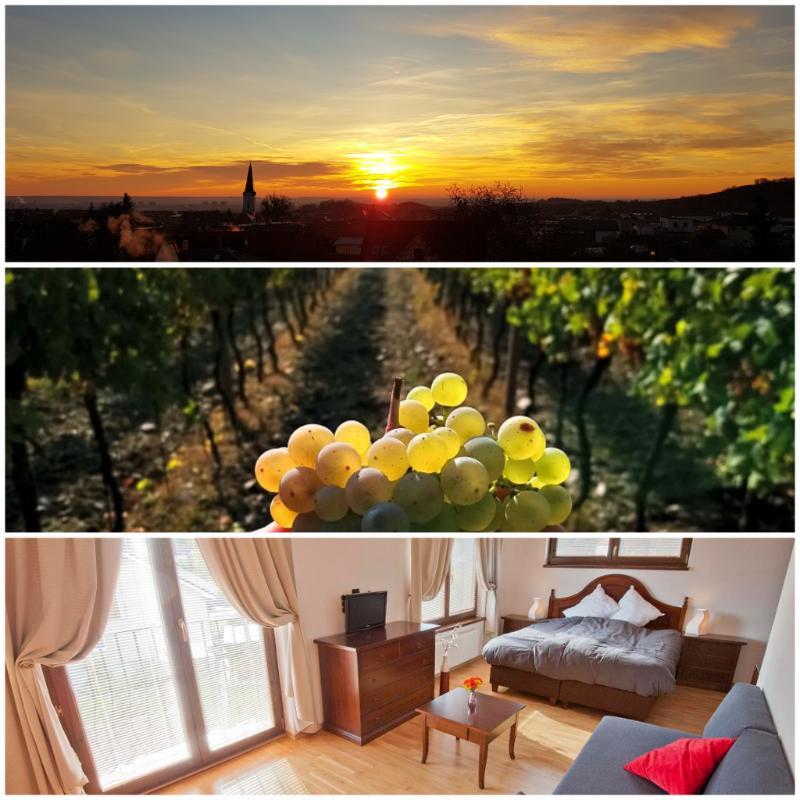 Villa Vinica Limbach Екстер'єр фото