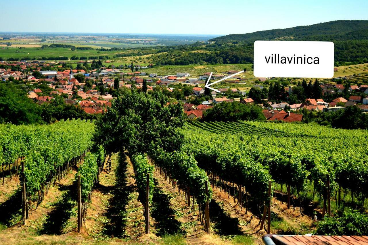 Villa Vinica Limbach Екстер'єр фото