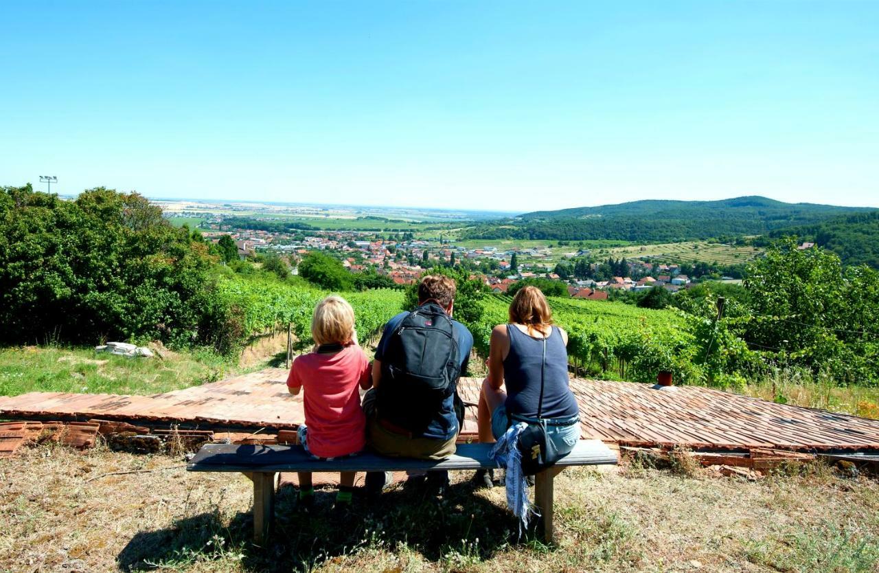 Villa Vinica Limbach Екстер'єр фото